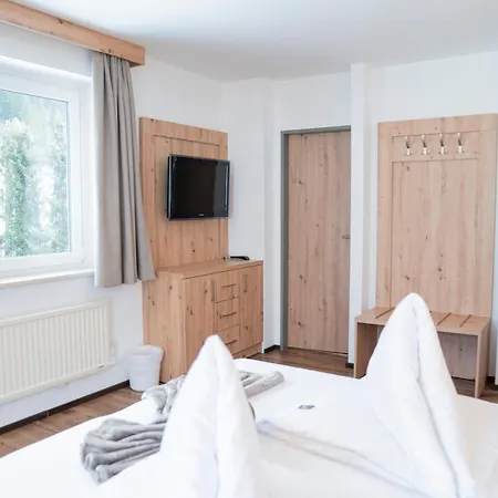 Hotel Alpina-2